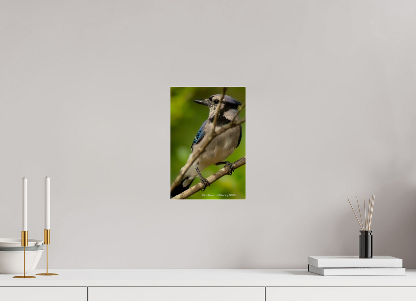 8 x 12″, Photo Print Under Acrylic Glass Zillas Zoom Image 435