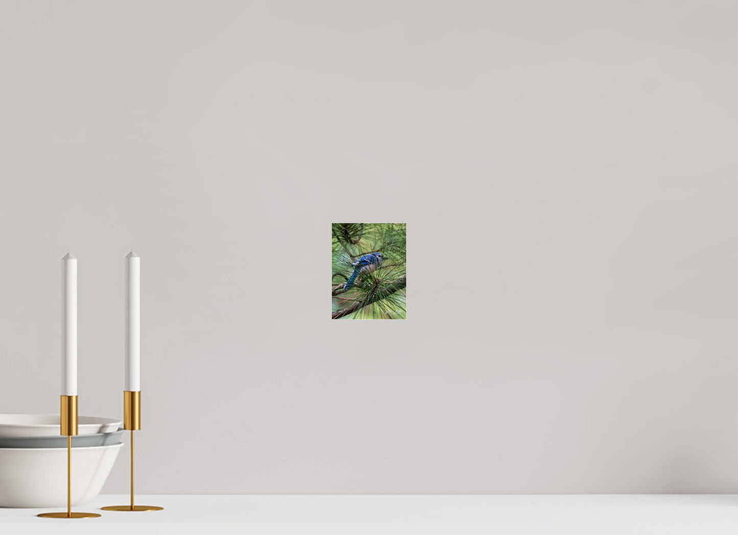 4 x 5.2″, Photo Print Under Acrylic Glass Zillas Zoom Image 457
