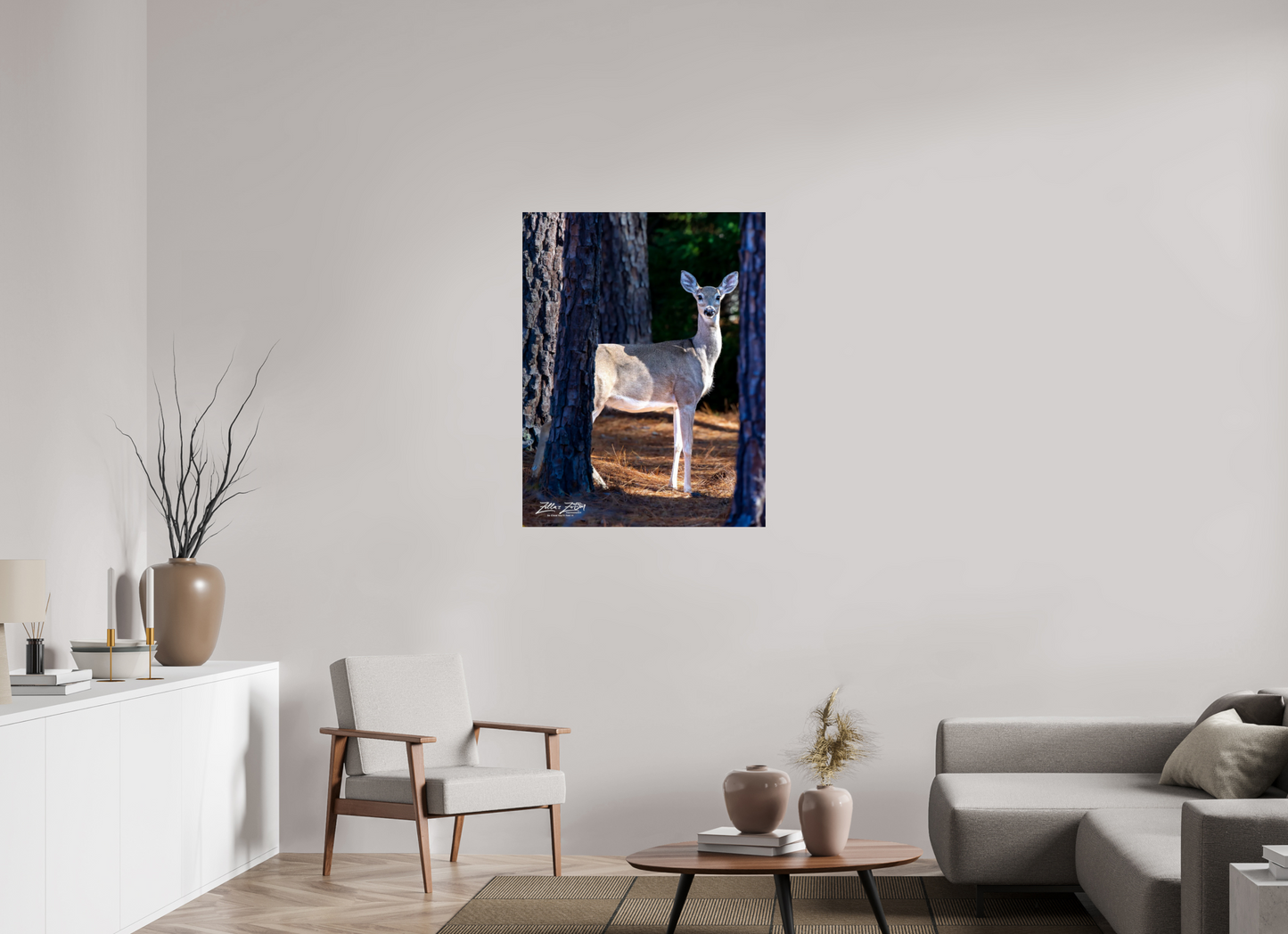 31 x 40.1″, Photo Print Under Acrylic Glass Zillas zoom image 154