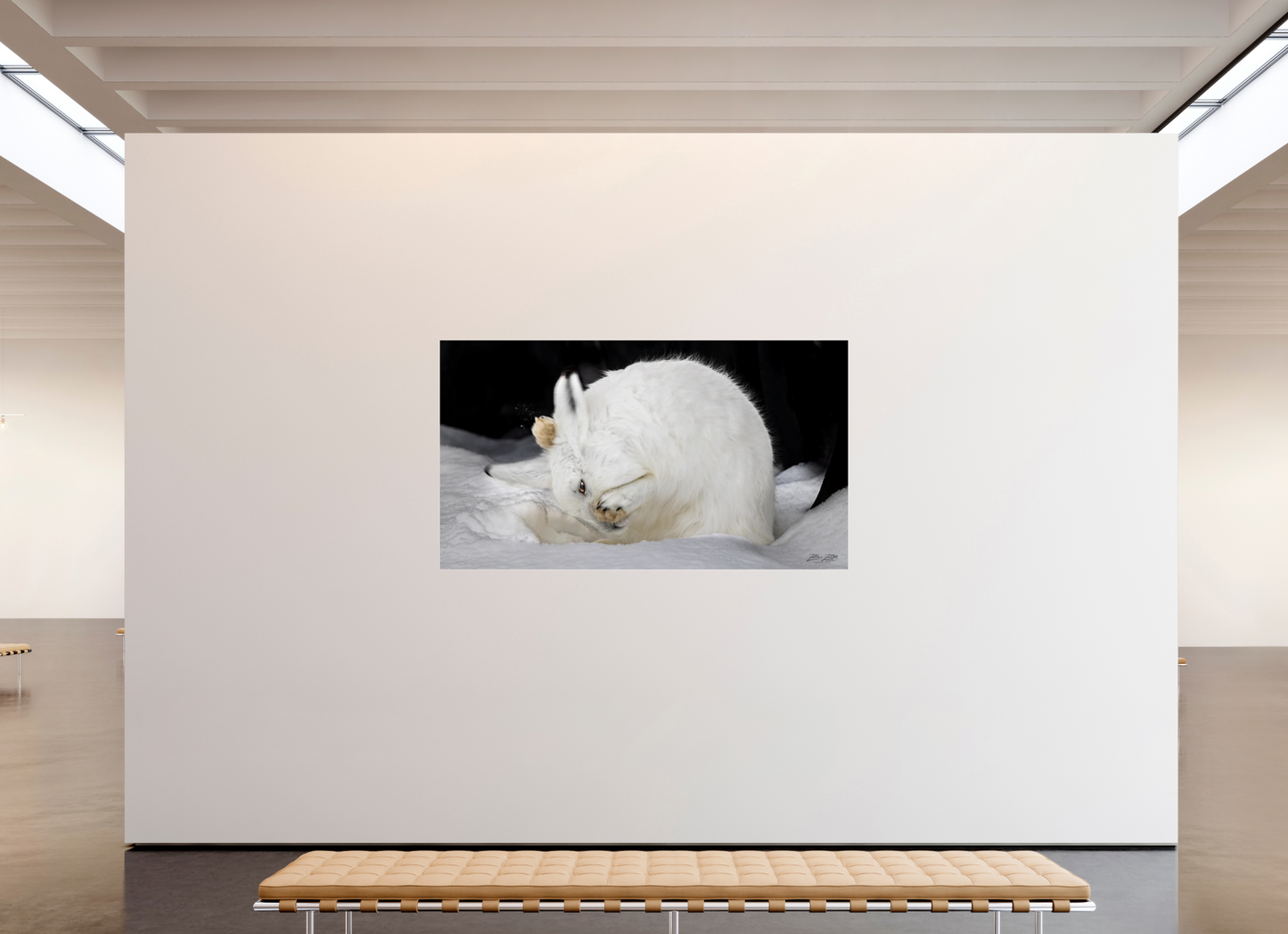 80 x 45″, Photo Print Under Acrylic Glass Zillas zoom image 142