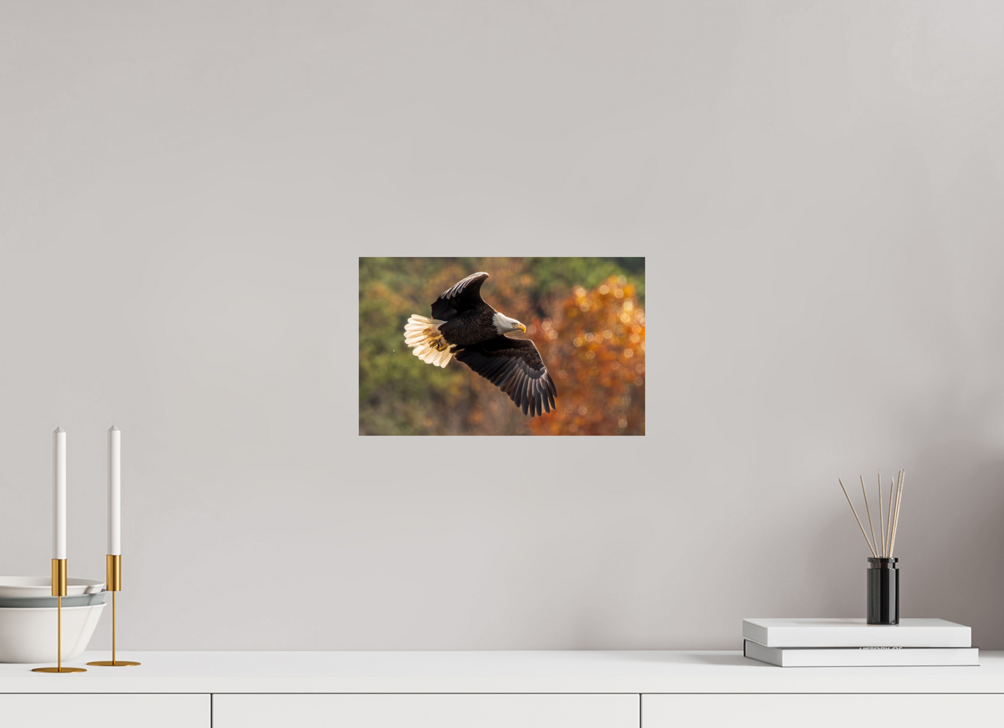 12.8 x 8″, Photo Print On Fuji Crystal DP II Zillas Zoom Image 396