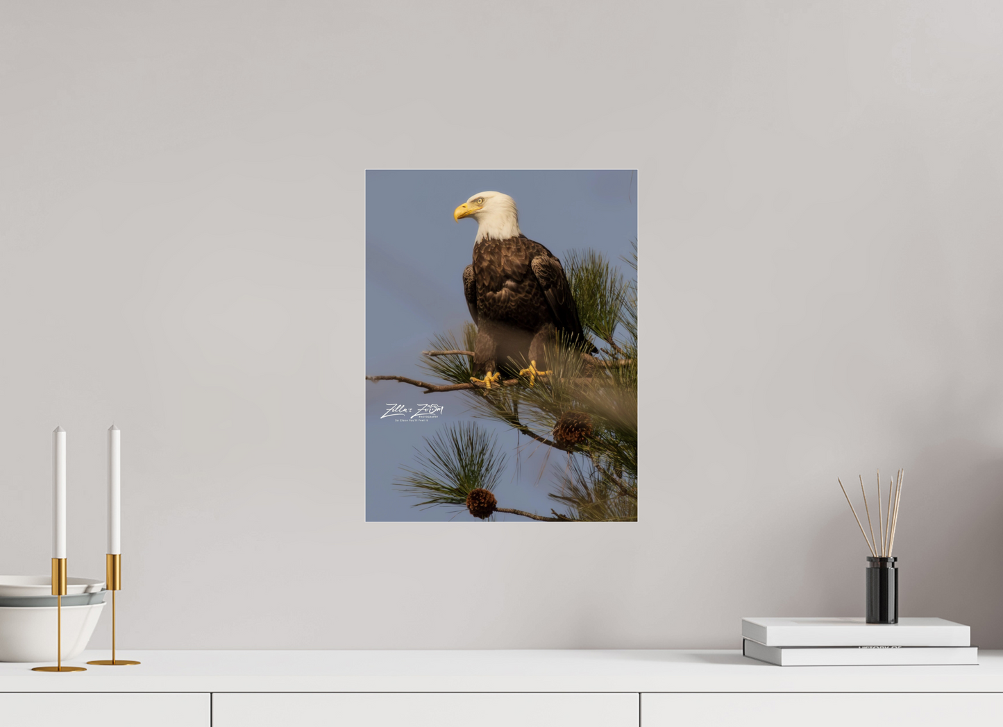 12 x 15.6″, Photo Print Under Acrylic Glass Zillas Zoom Image 413