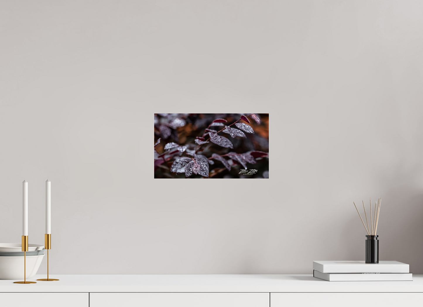 12 x 6.8″, Photo Print Under Acrylic Glass Zillas Zoom Image 88