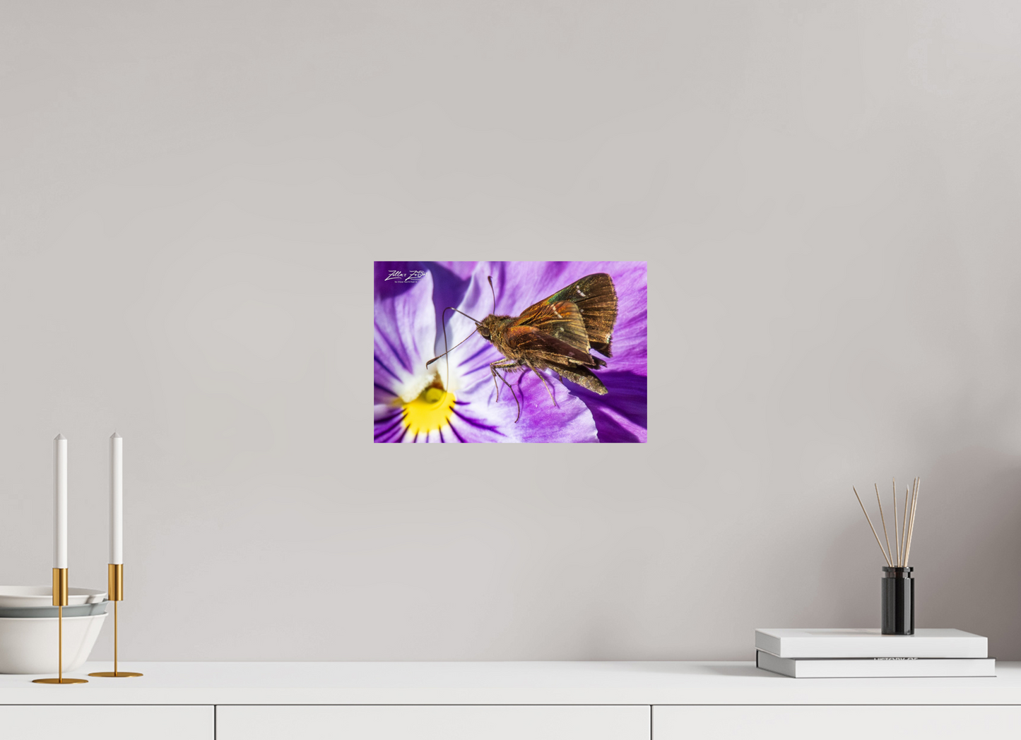 12 x 8″, Photo Print On Fuji Crystal DP II Zillas Zoom Image 59