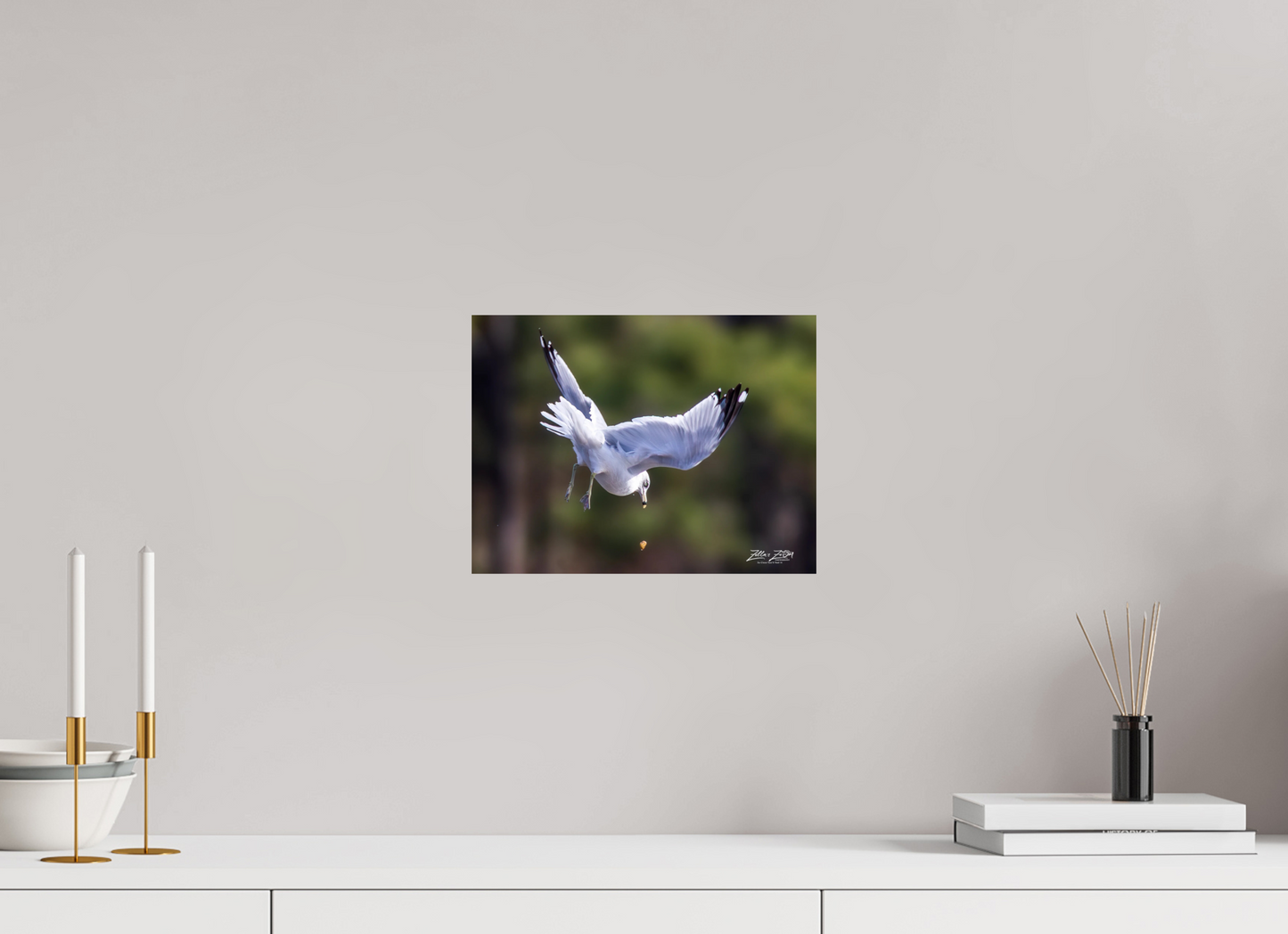 12 x 9″, Photo Print On Fuji Crystal DP II Zillas Zoom Image 268