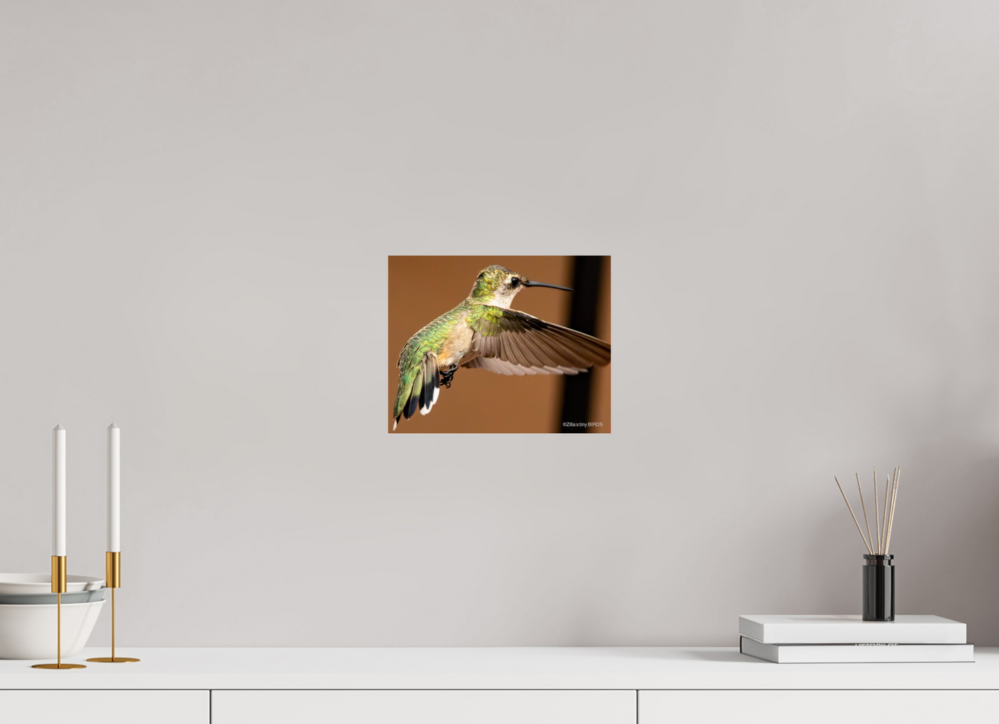 10 x 8″, Photo Print On Fuji Crystal DP II Zillas Zoom Image 336
