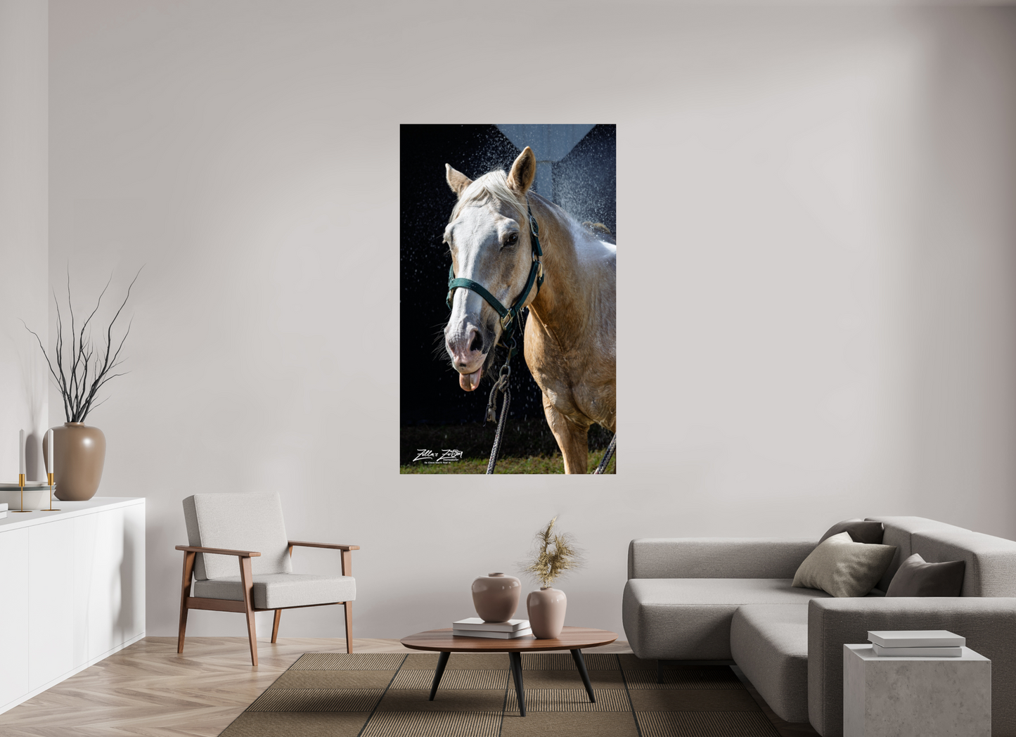 43 x 69.6″, Photo Print Under Acrylic Glass Zillas zoom image 156