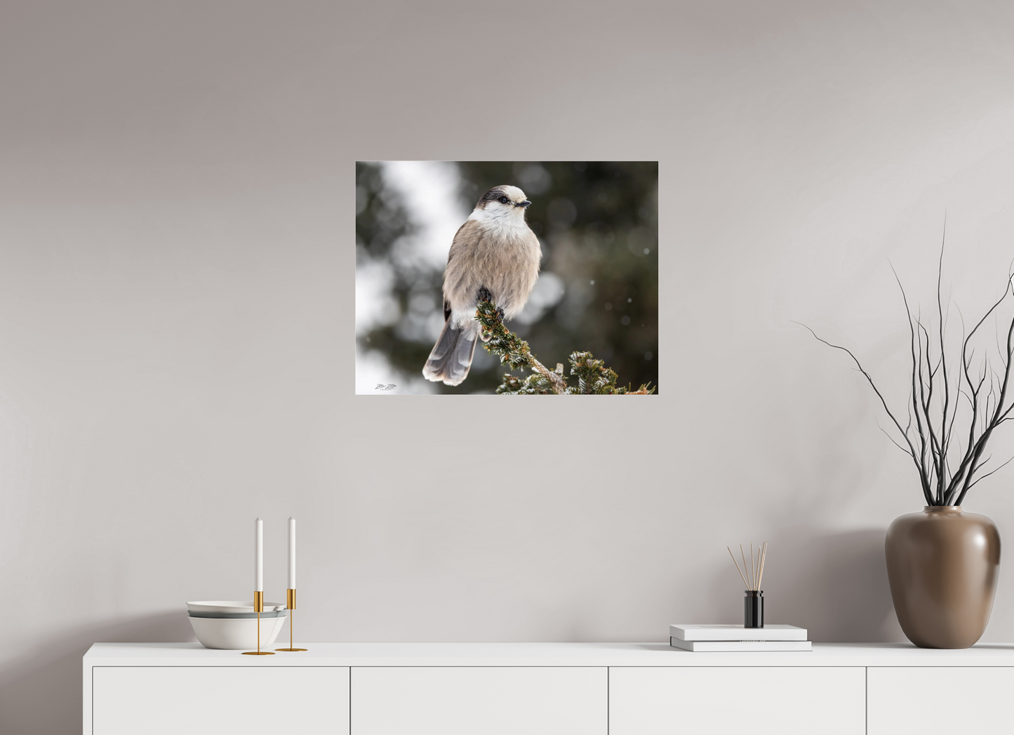 25.9 x 20″, Photo Print Under Acrylic Glass Zillas Zoom Image 353