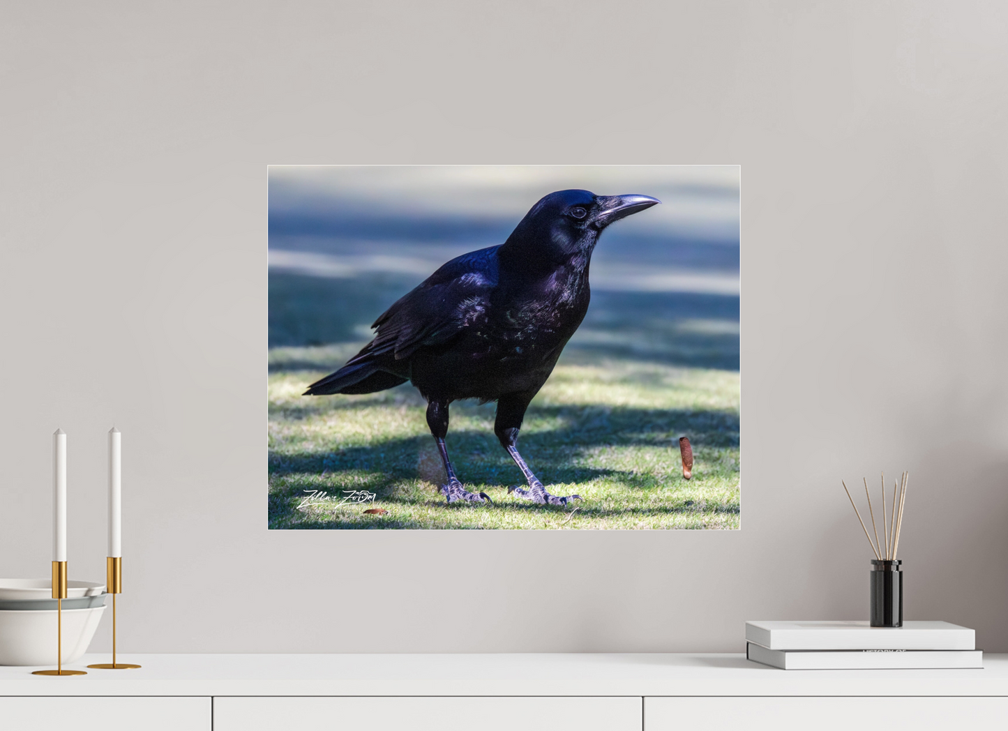 20.7 x 16″, Photo Print Under Acrylic Glass Zillas Zoom Image 322