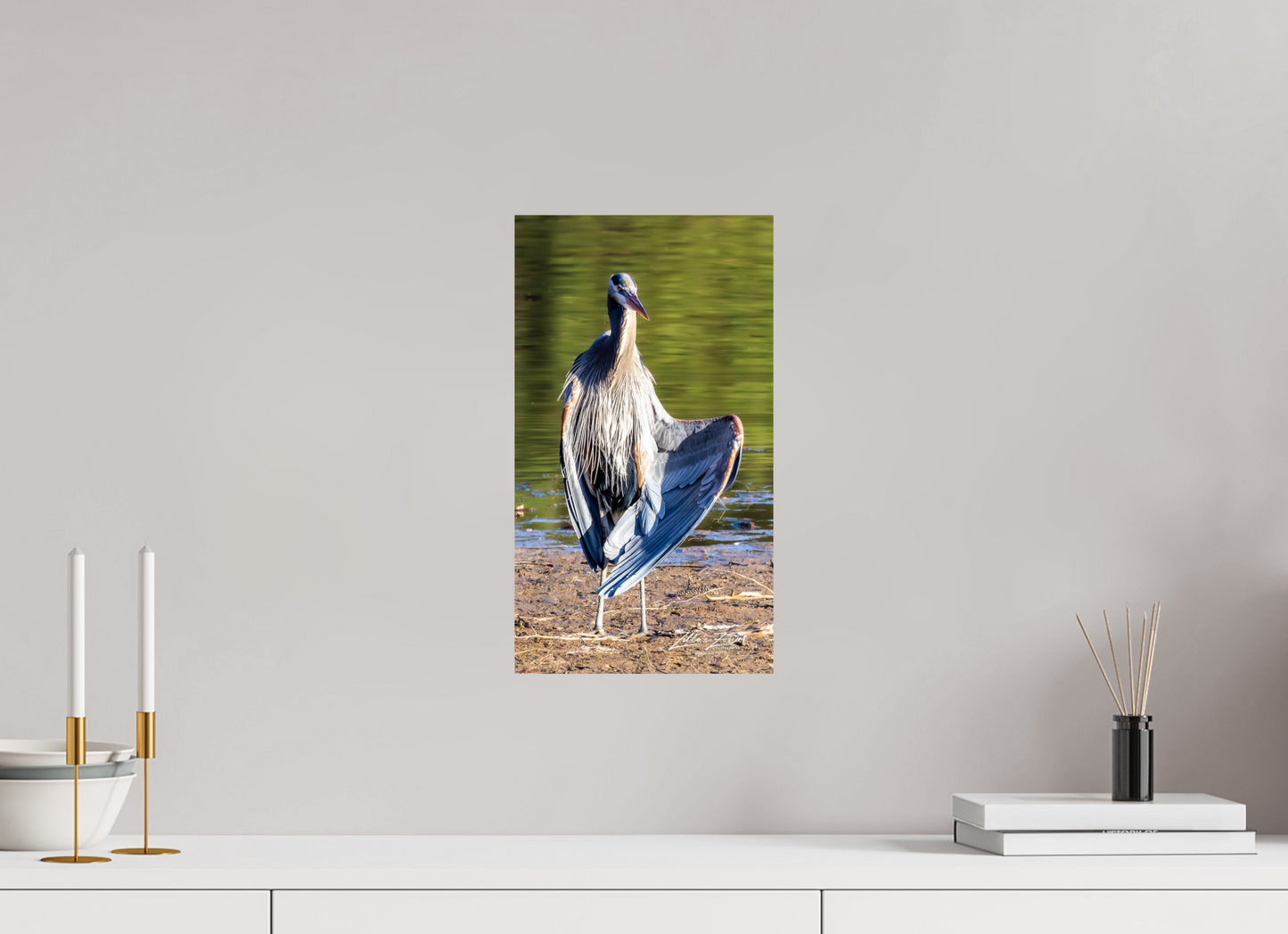 9 x 16″, Photo Print On Fuji Crystal DP II Zillas Zoom Image 411