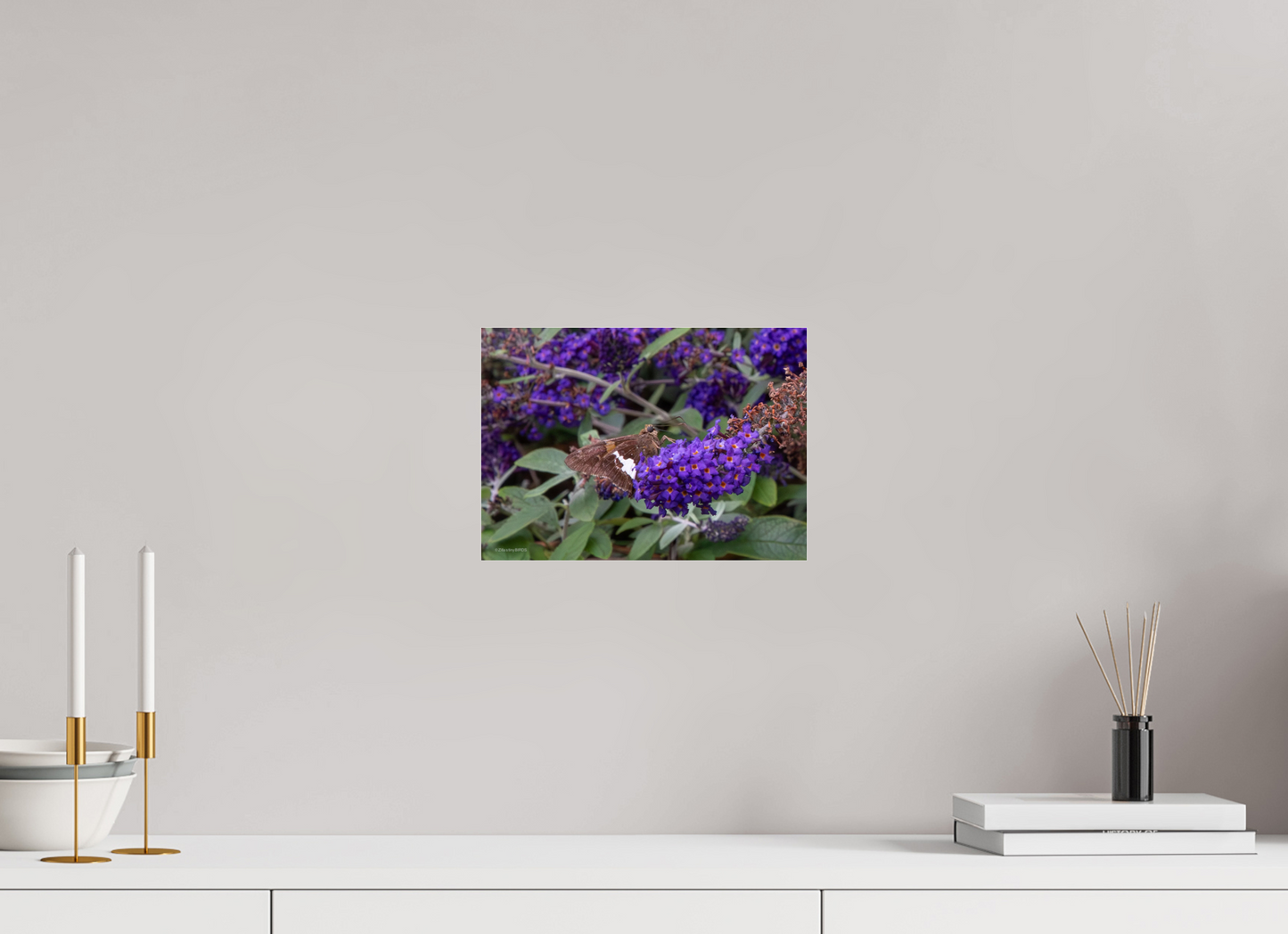 11.2 x 8″, Photo Print Under Acrylic Glass Zillas Zoom Image 60