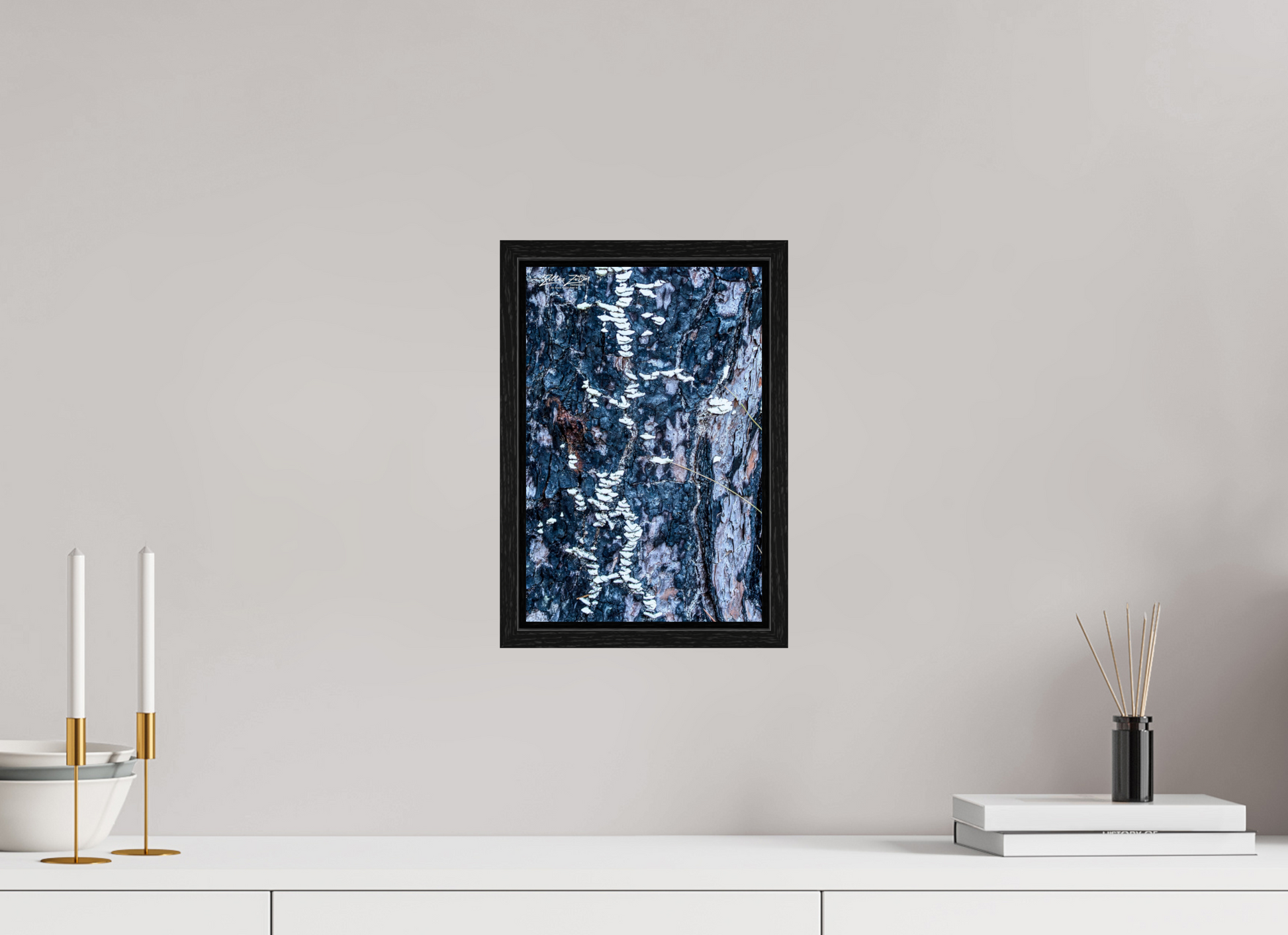 8 x 12″, Floater Frame Zillas Zoom Image 114