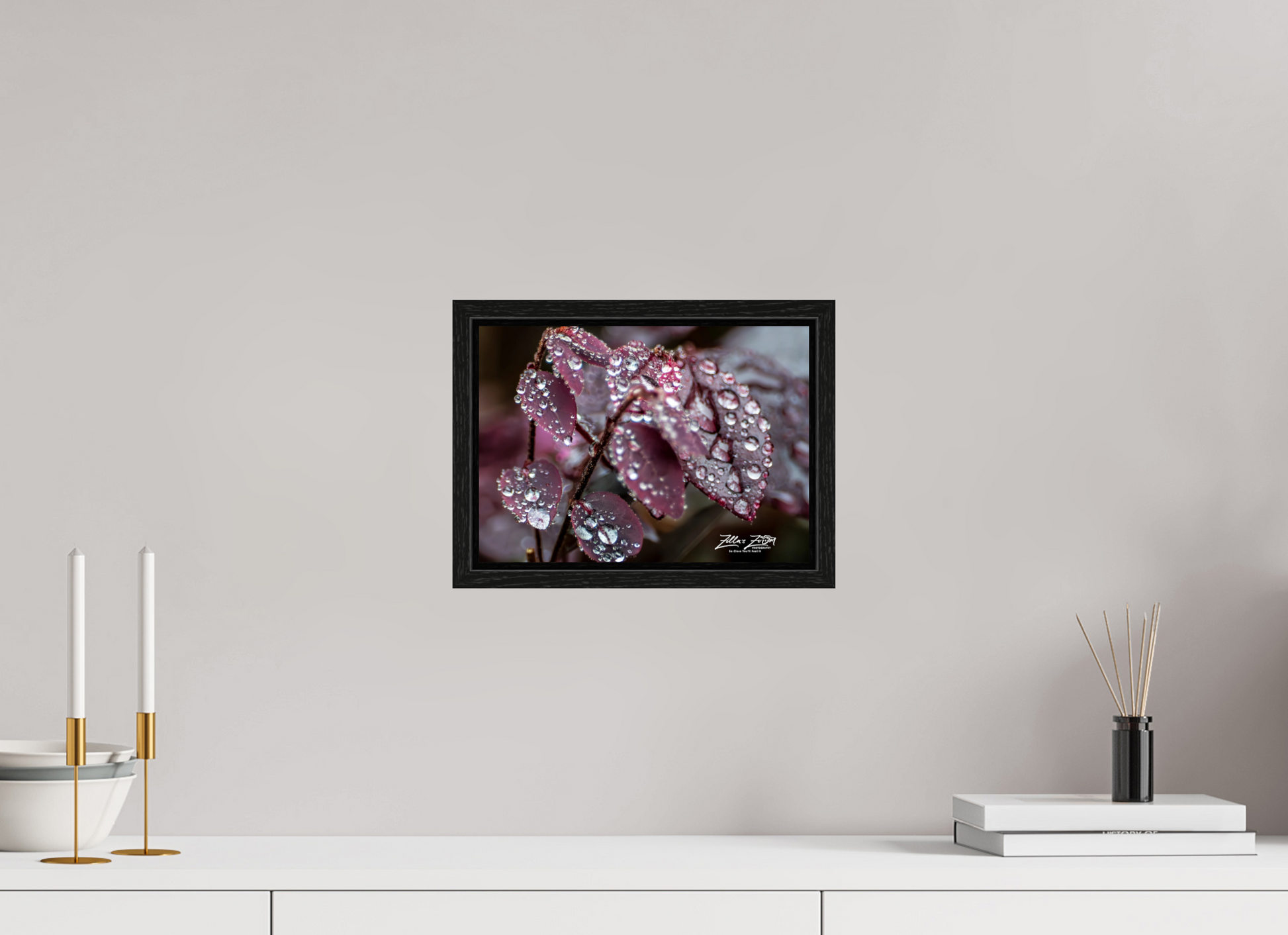 11.2 x 8″, Floater Frame Zillas Zoom Image 100