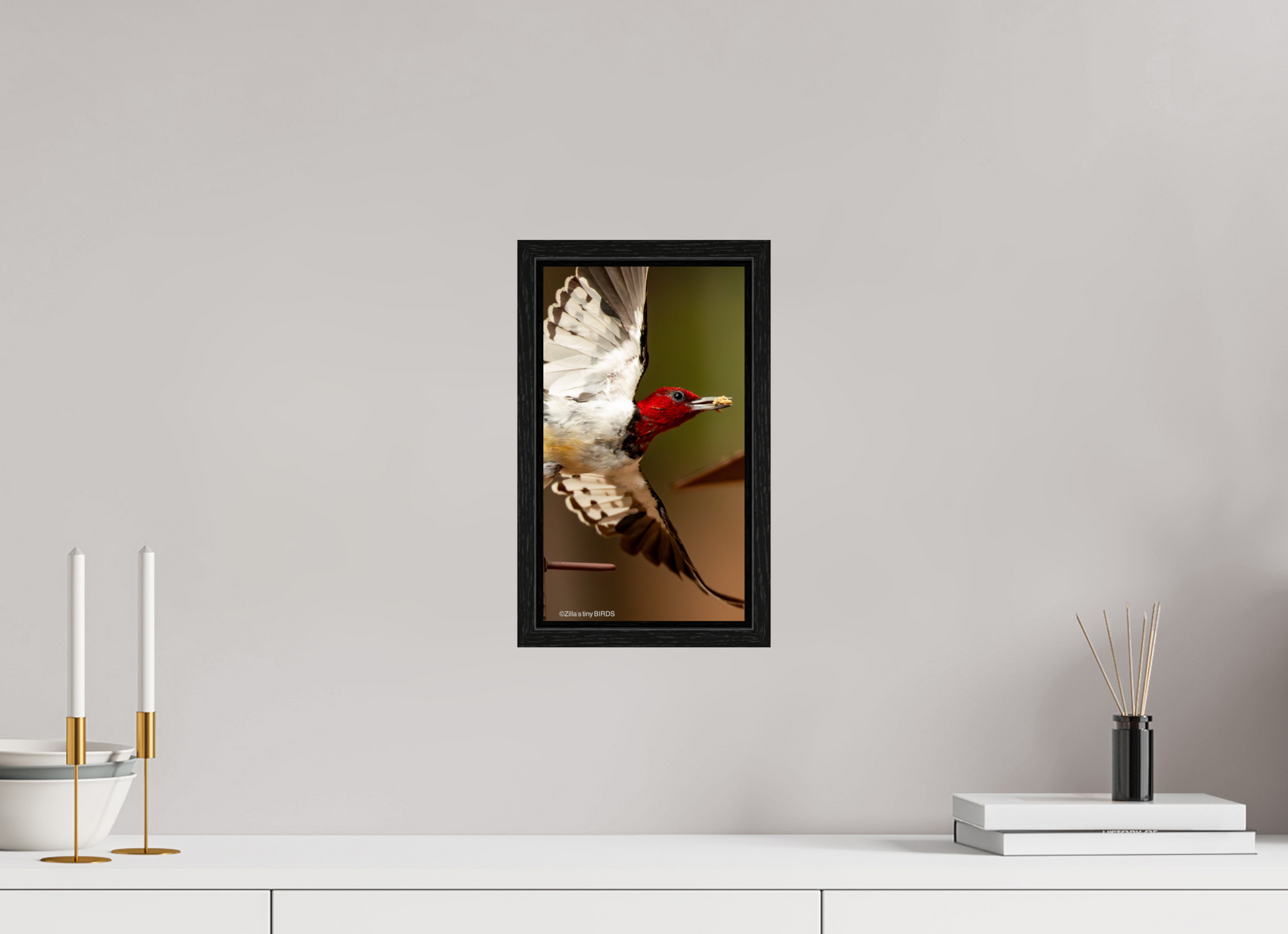 6.8 x 12″, Floater Frame Zillas Zoom Image 399