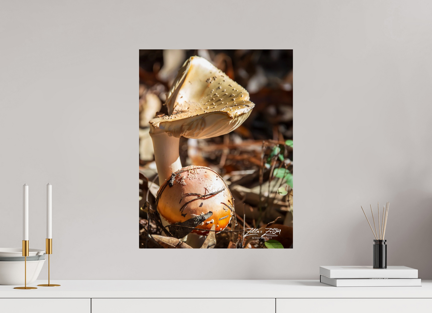 16 x 20.7″, Photo Print On Fuji Crystal DP II Zillas Zoom Image 116