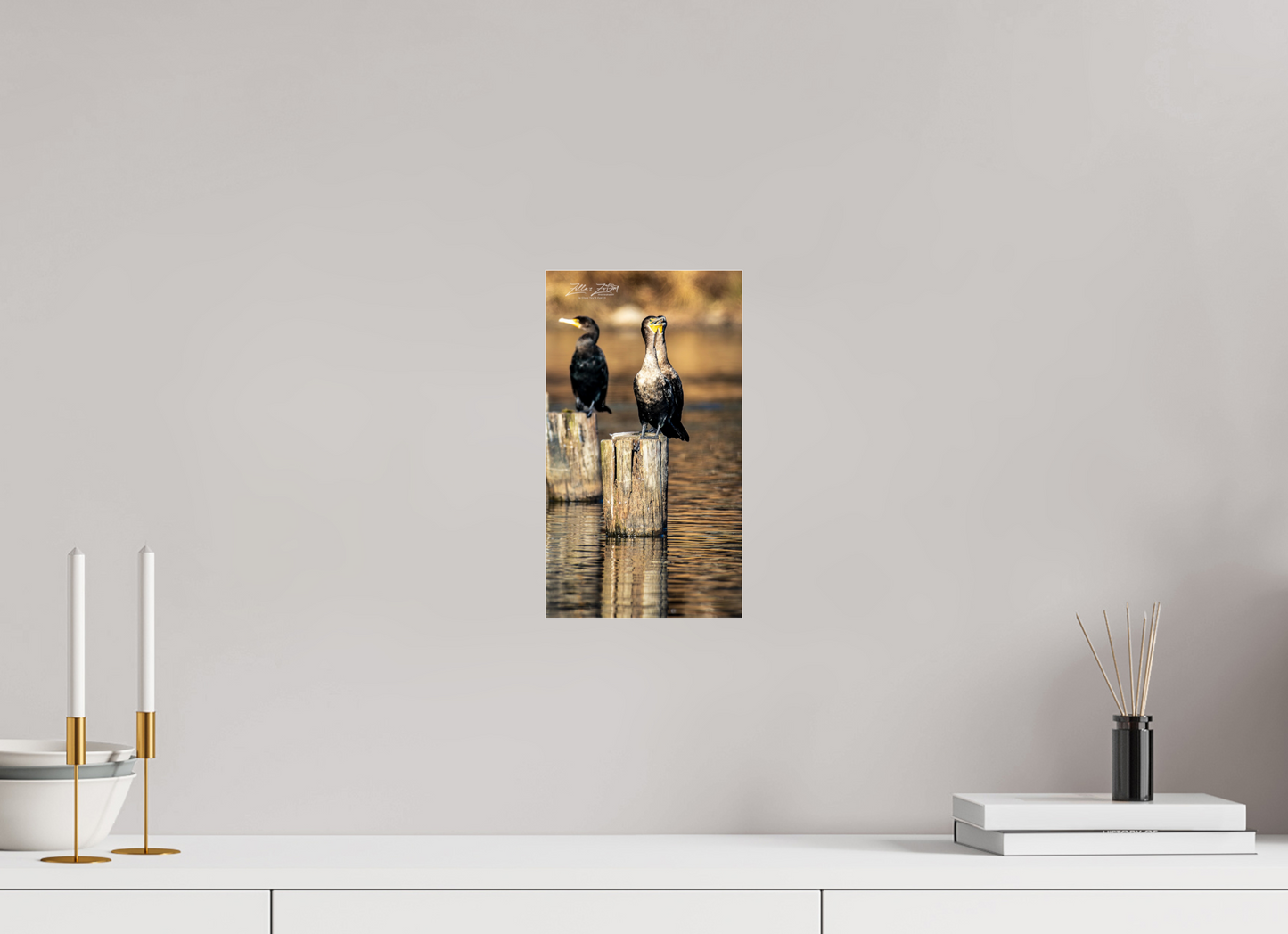 6.8 x 12″, Photo Print Under Acrylic Glass Zillas Zoom Image 426