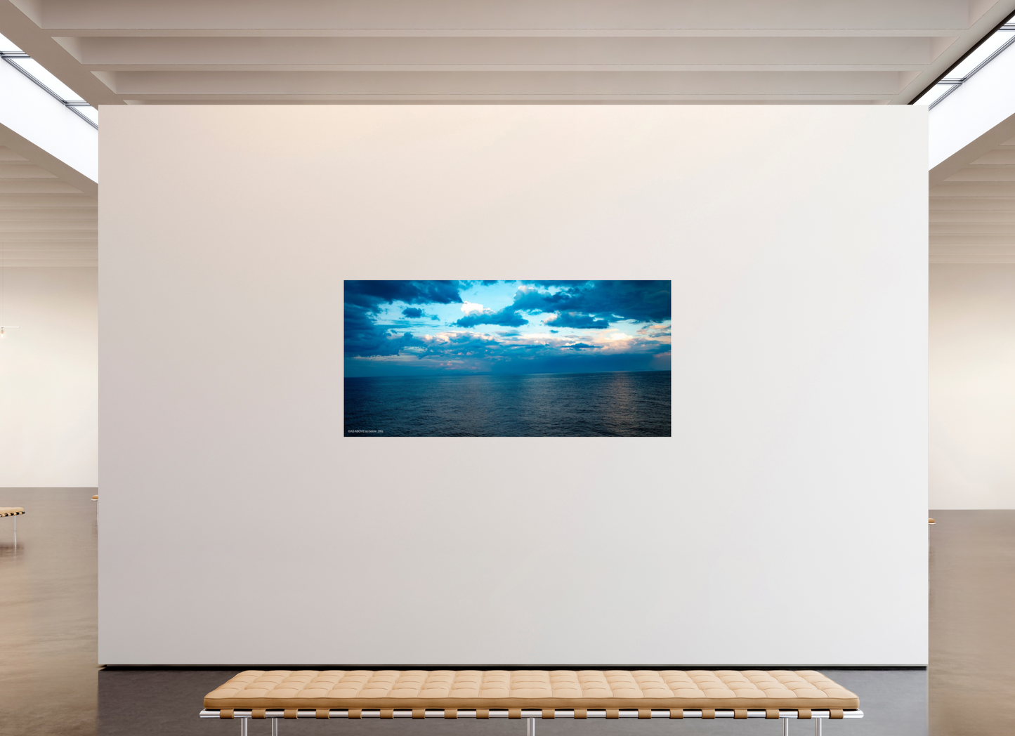 81.5 x 39″, Photo Print Under Acrylic Glass Zillas Zoom Image 199