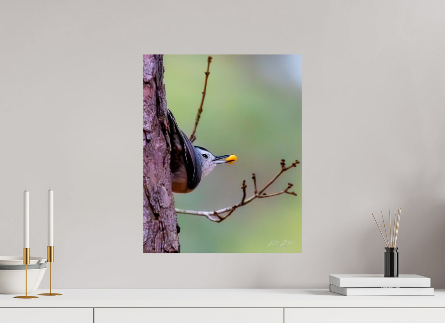 16 x 20″, Photo Print On Fuji Crystal DP II Zillas Zoom Image 503