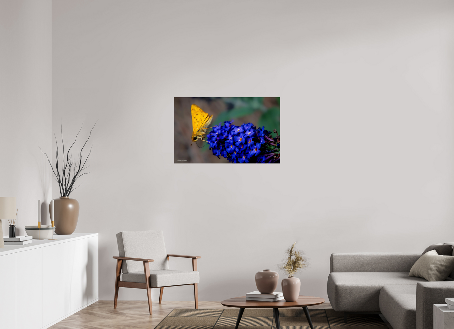 38.4 x 24″, Photo Print On Fuji Crystal DP II Zillas Zoom Image 61