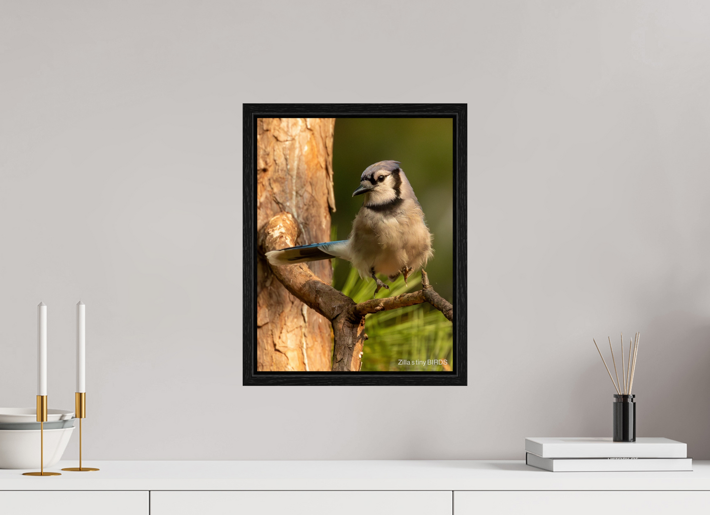 12 x 15.6″, Floater Frame Zillas Zoom Image 520