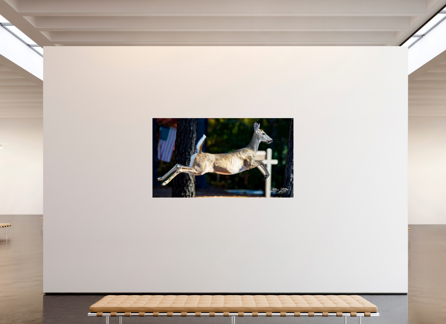 80 x 45″, Photo Print On Fuji Crystal DP II Zillas zoom image 141