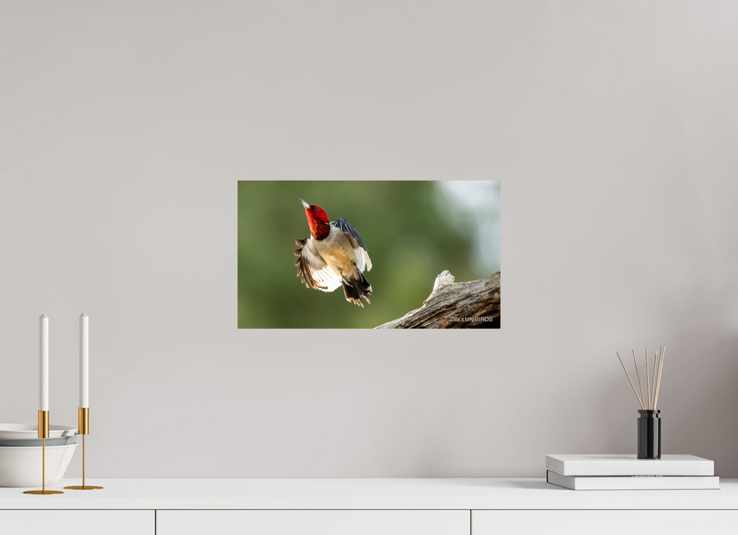 16 x 9″, Photo Print On Fuji Crystal DP II Zillas Zoom Image 374