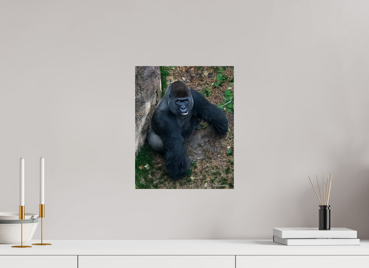 12 x 14.9″, Photo Print On Fuji Crystal DP II Zillas zoom image 151