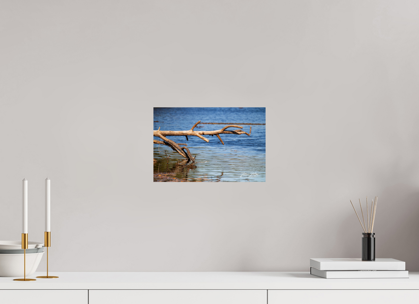 12 x 8″, Photo Print On Fuji Crystal DP II Zillas Zoom Image 213