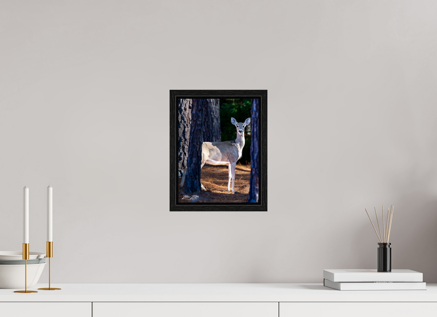 8 x 10.4″, Floater Frame Zillas zoom image 154
