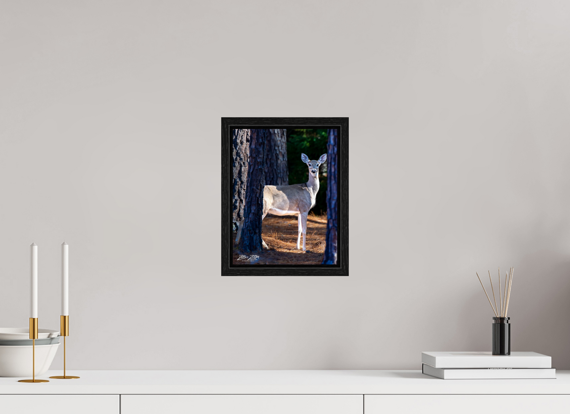 8 x 10.4″, Floater Frame Zillas zoom image 154