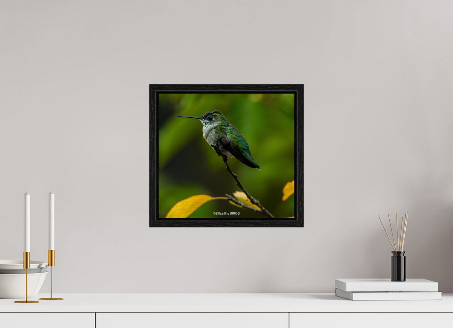 13.1 x 12″, Floater Frame Zillas Zoom Image 312