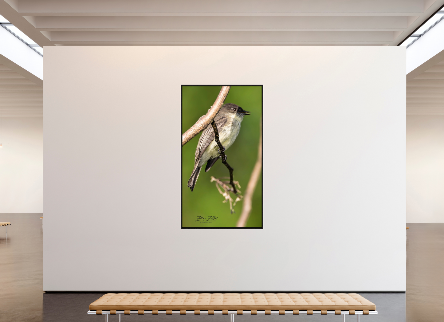 45 x 80″, Floater Frame Zillas Zoom Image 423