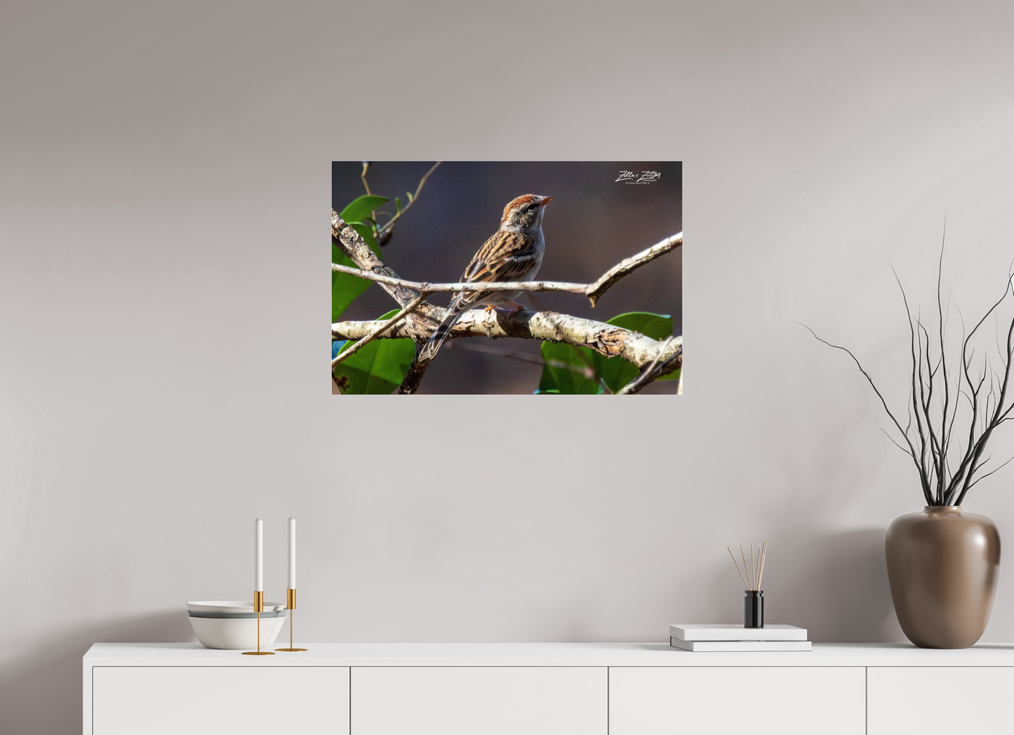 30 x 20″, Photo Print Under Acrylic Glass Zillas Zoom Image 289