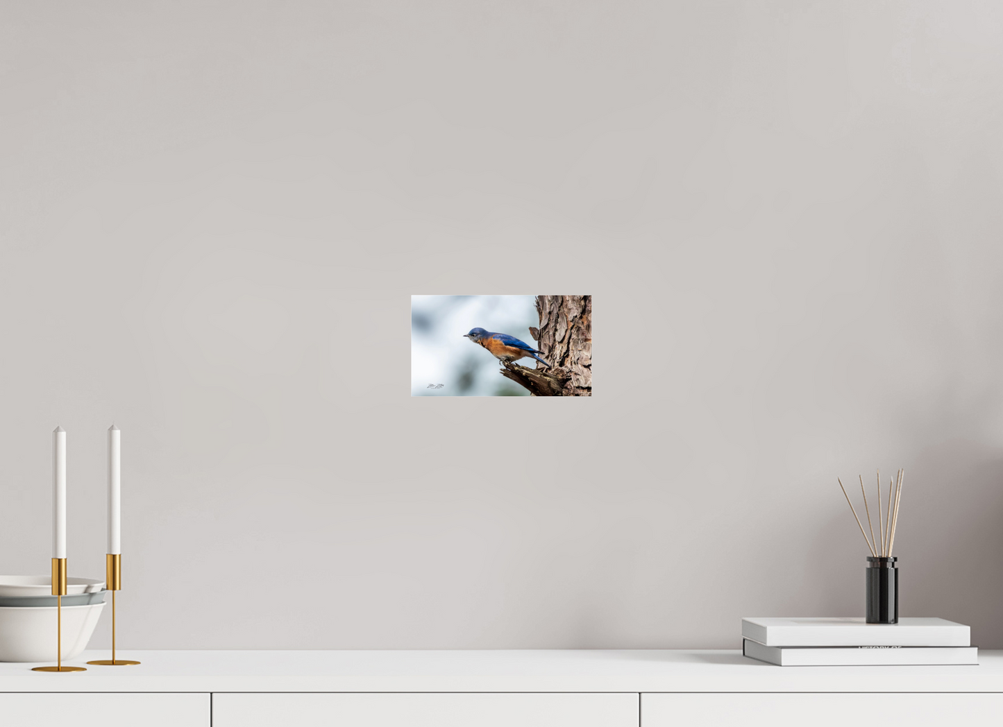 8 x 4.5″, Photo Print Under Acrylic Glass Zillas Zoom Image 346