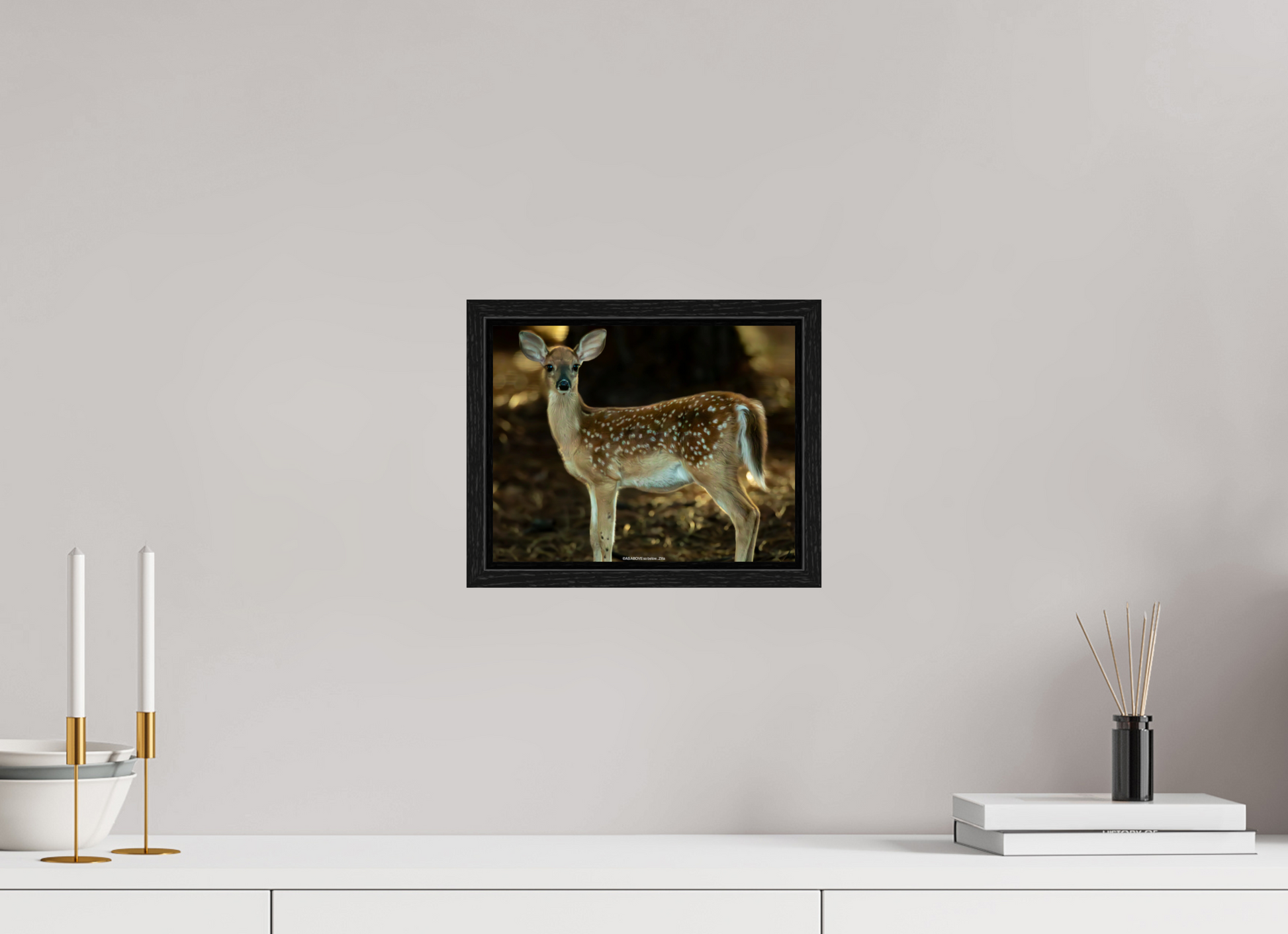 10.2 x 8″, Floater Frame Zillas zoom image 140