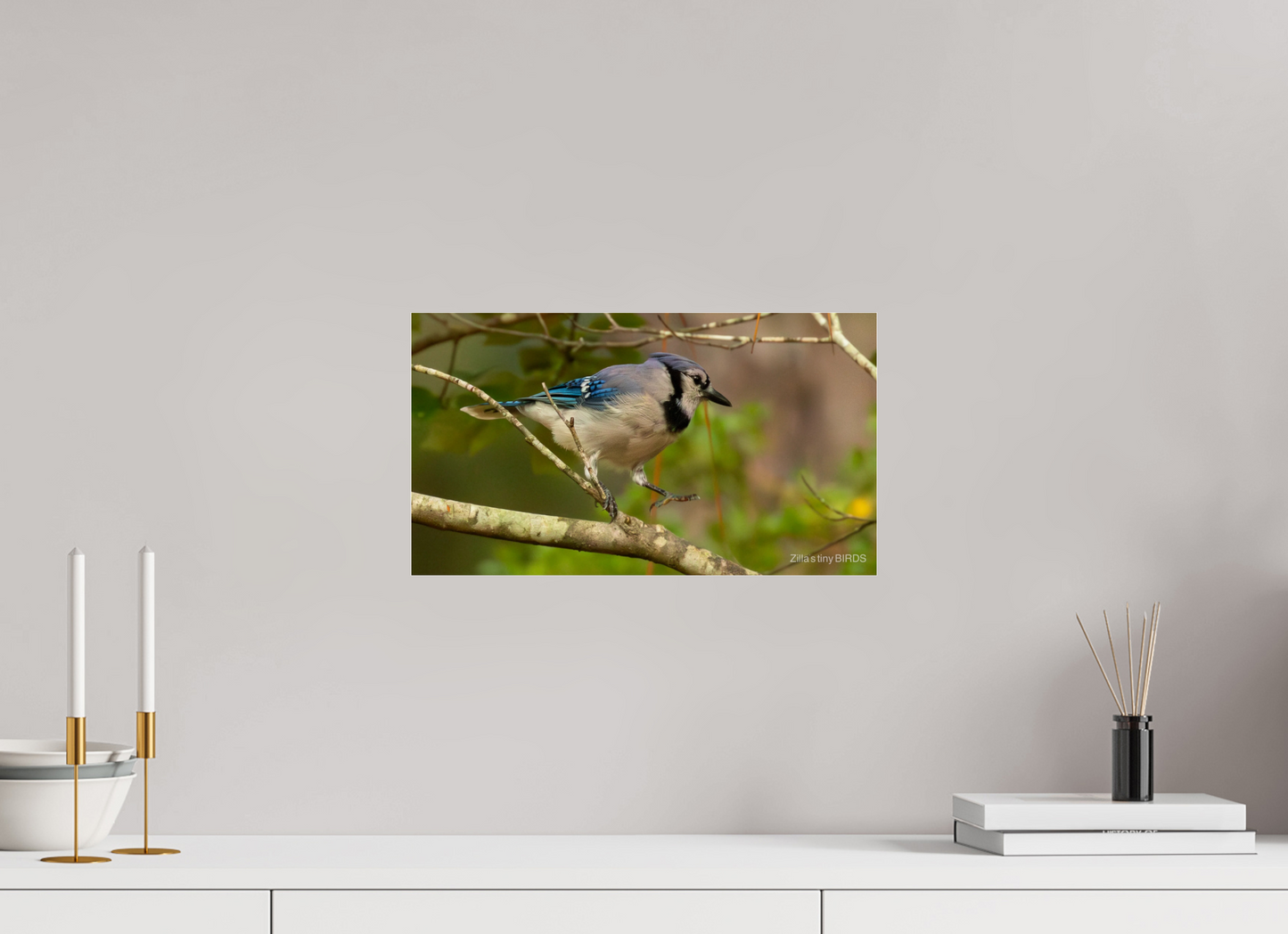 16 x 9″, Photo Print Under Acrylic Glass Zillas Zoom Image 391