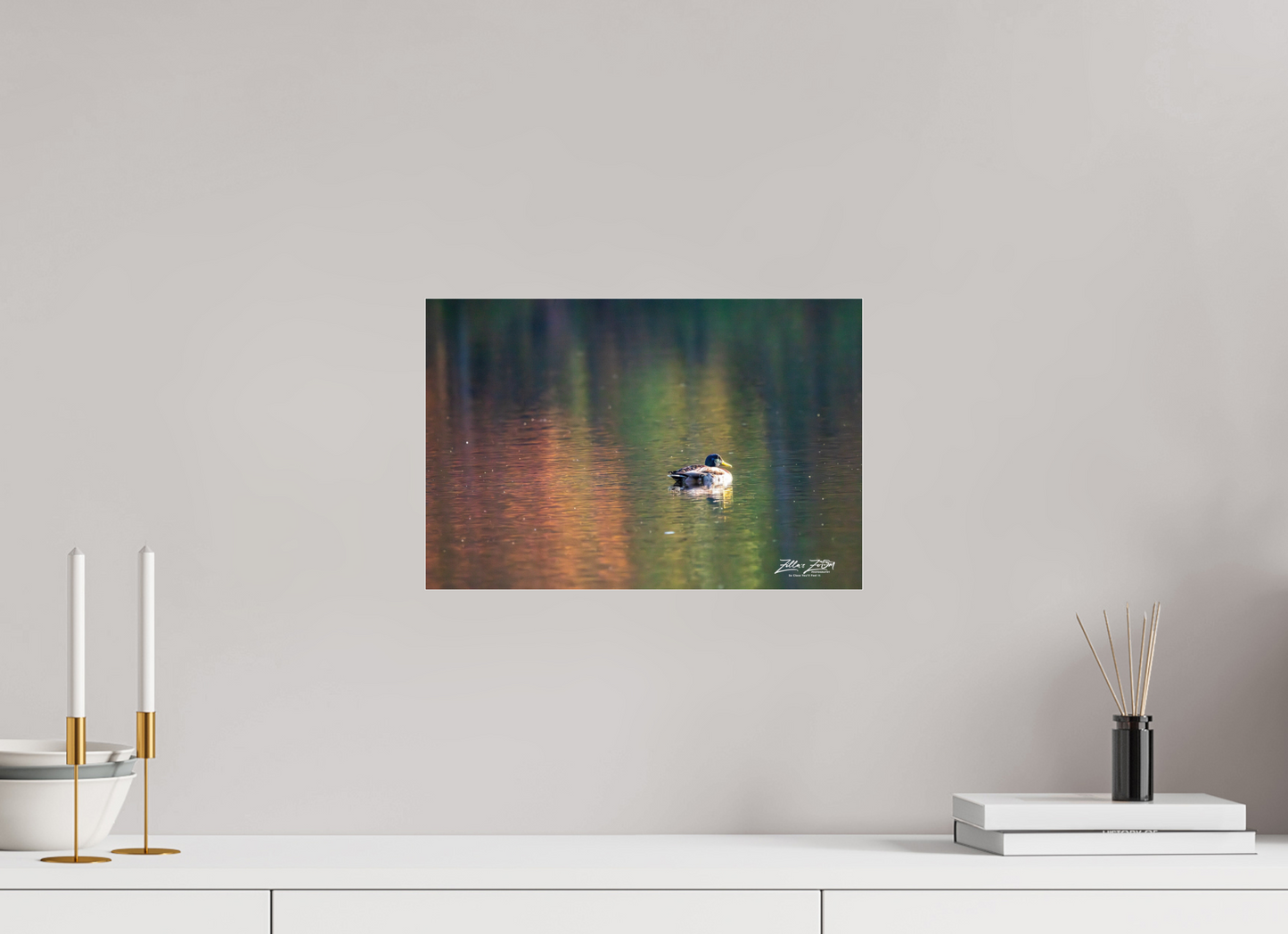 15 x 10″, Photo Print Under Acrylic Glass Zillas Zoom Image 221