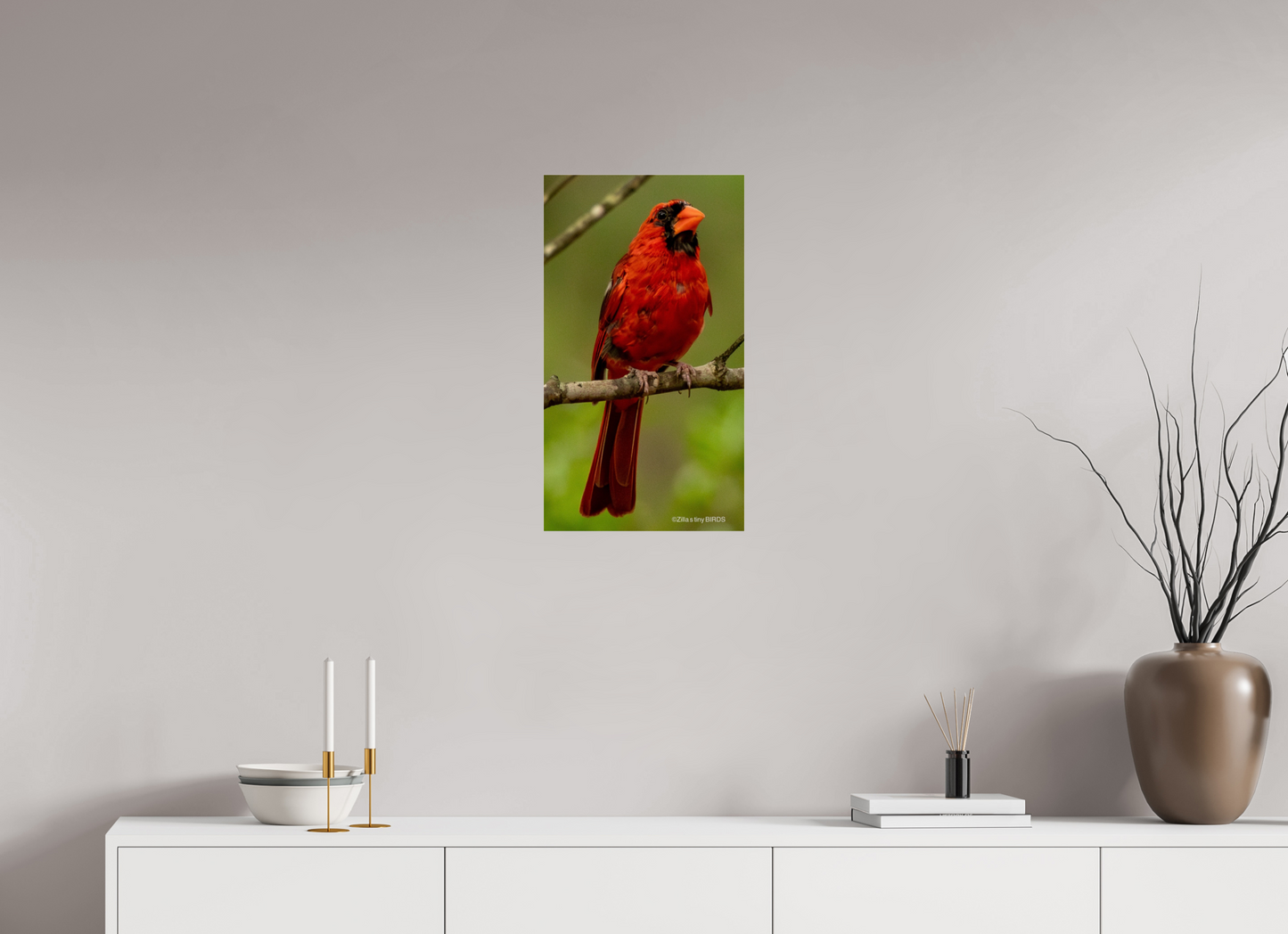 13.5 x 24″, Photo Print Under Acrylic Glass Zillas Zoom Image 397