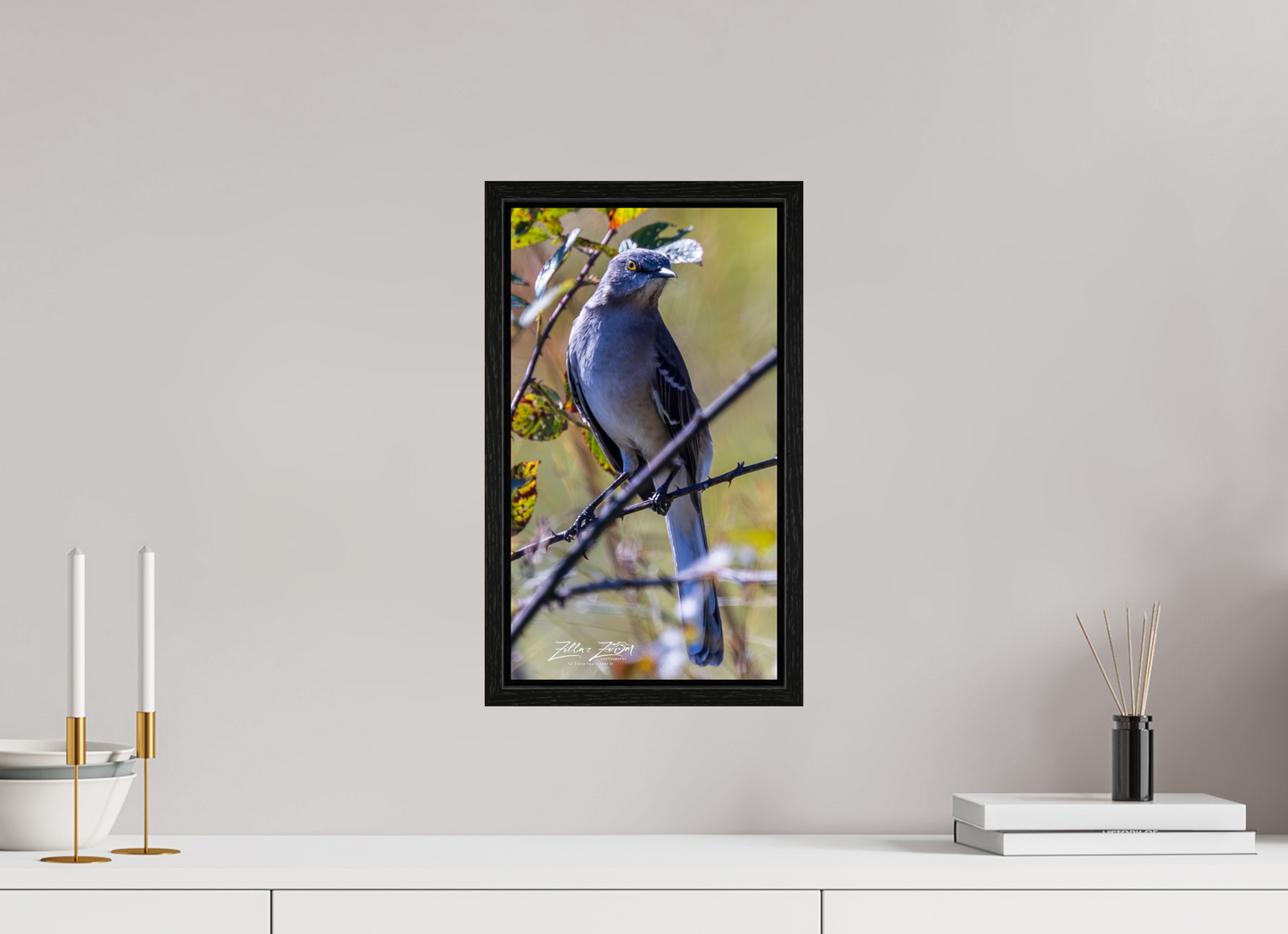9 x 16″, Floater Frame Zillas Zoom Image 408