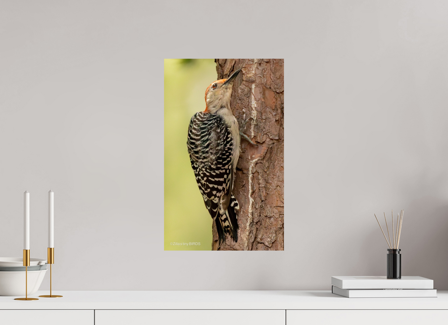 12 x 19.2″, Photo Print On Fuji Crystal DP II Zillas Zoom Image 456