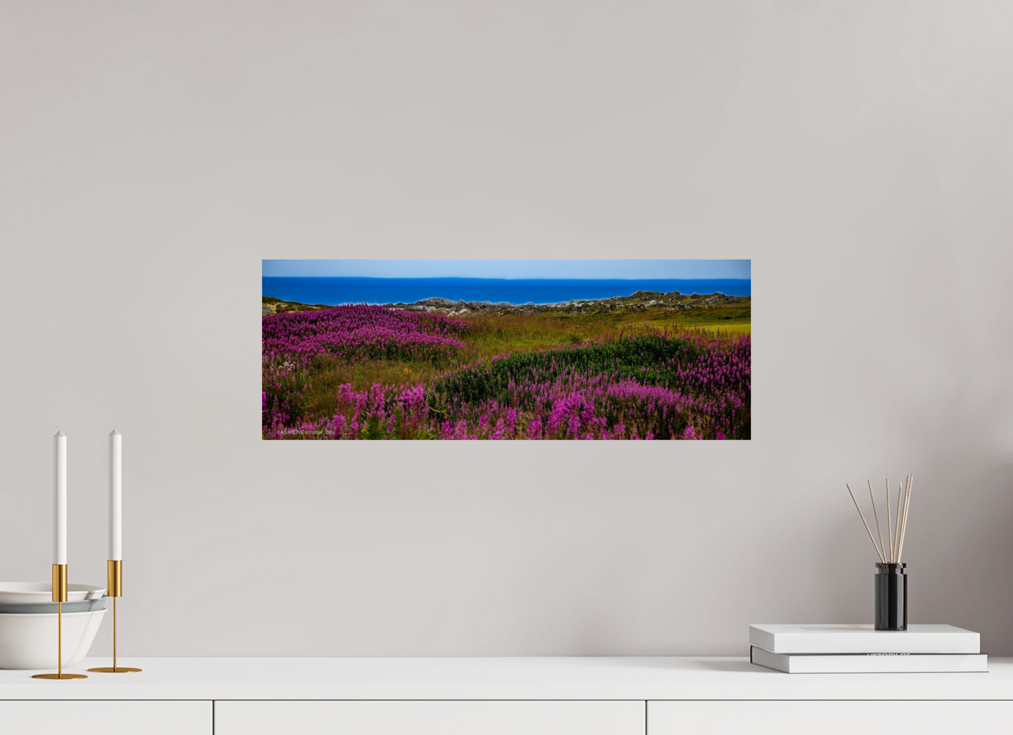 21.7 x 8″, Photo Print On Fuji Crystal DP II Zillas Zoom Image 92