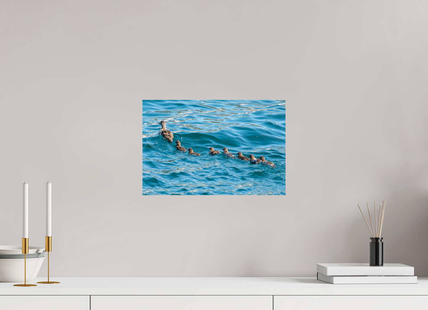 15 x 10″, Photo Print On Fuji Crystal DP II Zillas Zoom Image 355