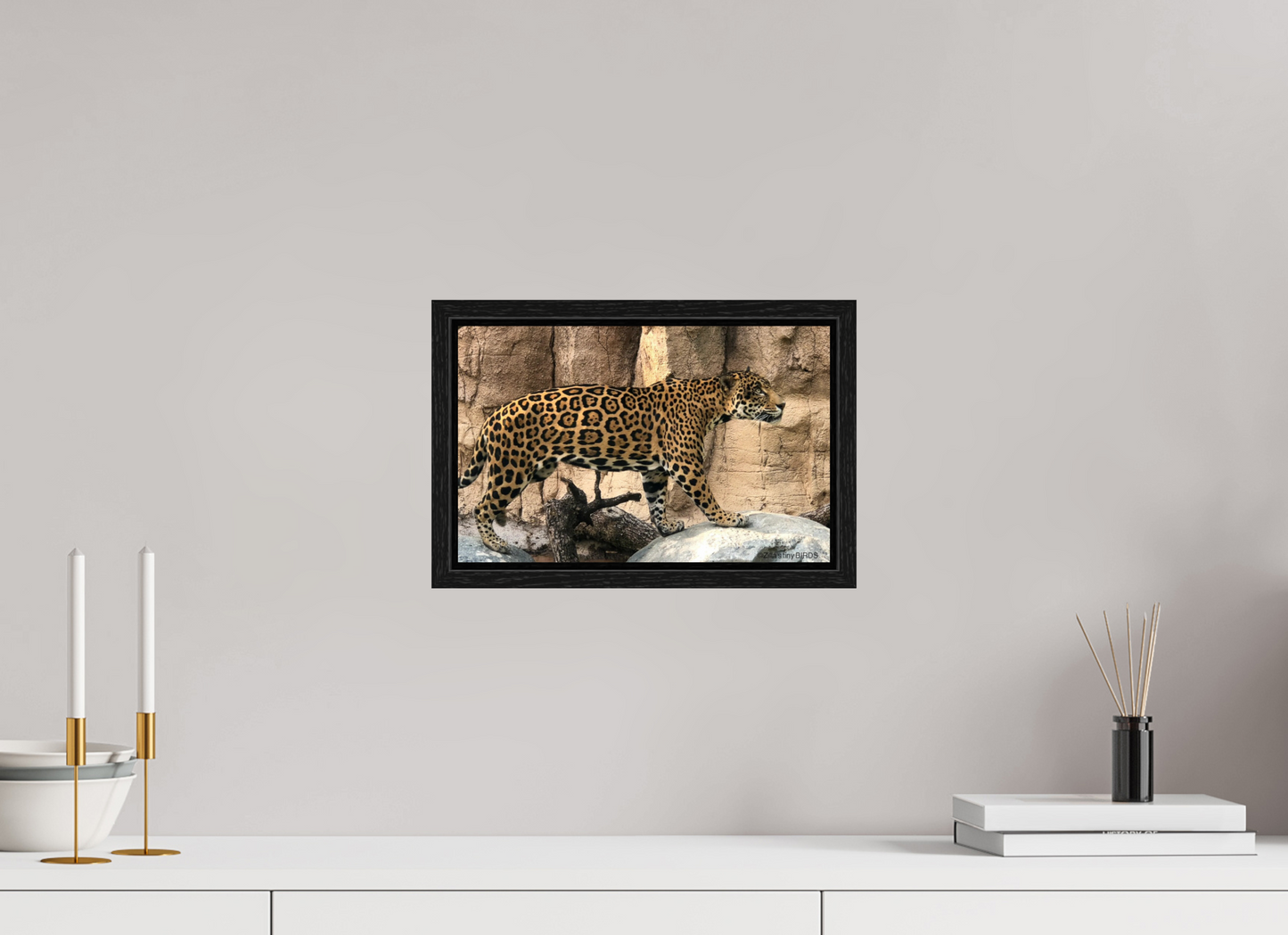 12.6 x 8″, Floater Frame Zillas zoom image 139