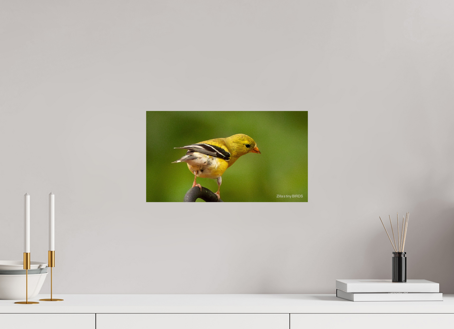 16 x 9″, Photo Print On Fuji Crystal DP II Zillas Zoom Image 380