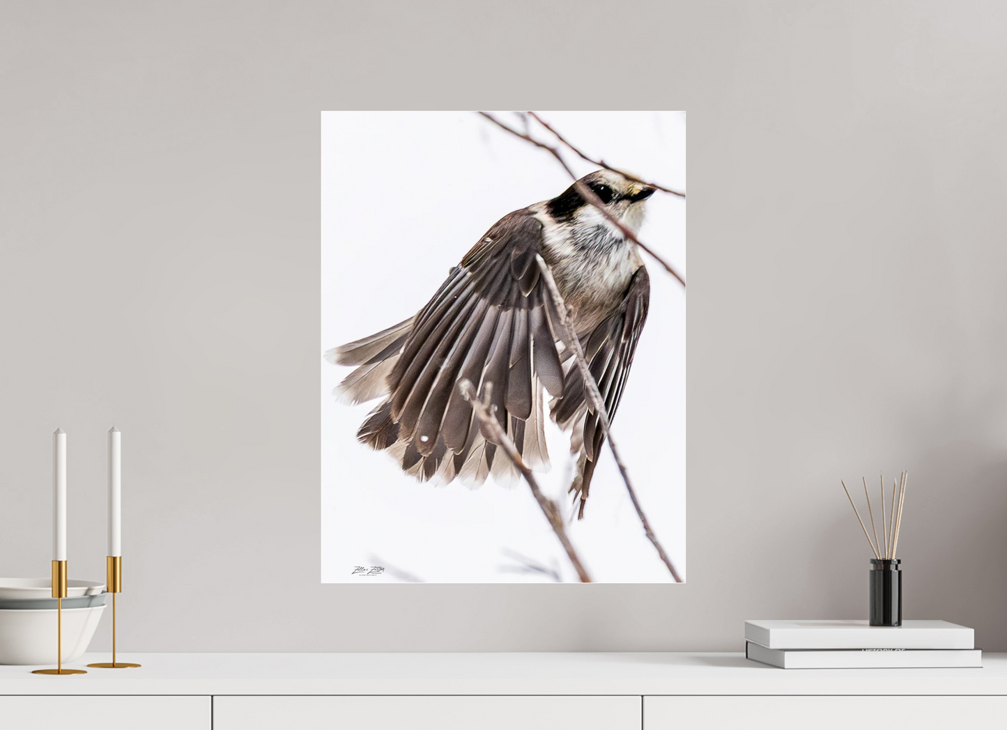 16 x 20.7″, Photo Print Under Acrylic Glass Zillas Zoom Image 507