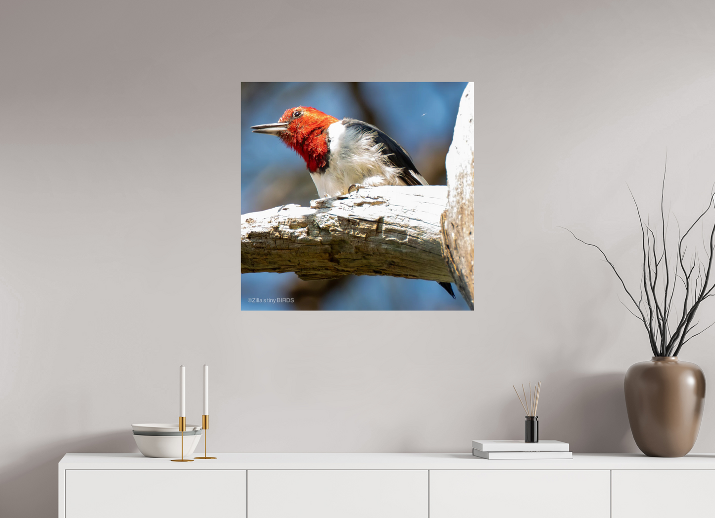 28.5 x 28″, Photo Print On Fuji Crystal DP II Zillas Zoom Image 273