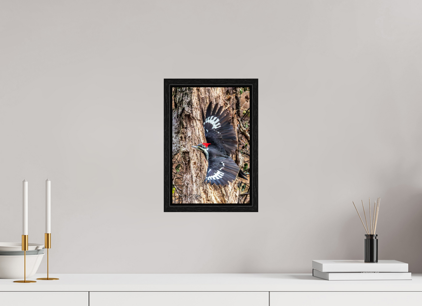 8 x 12″, Floater Frame Zillas Zoom Image 418