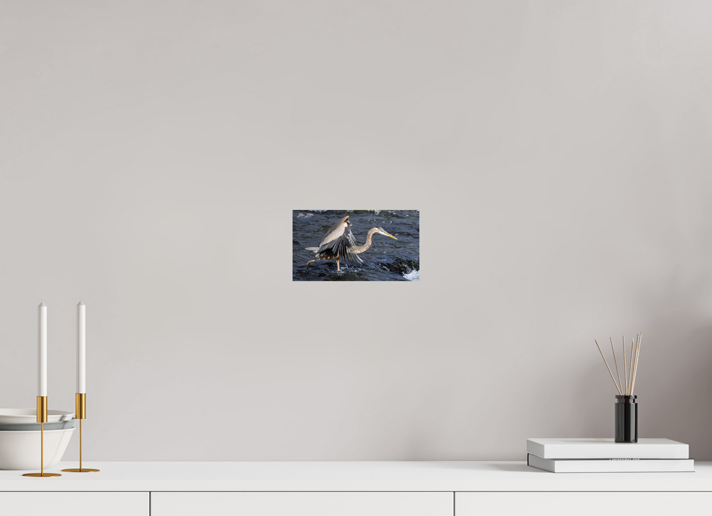 8 x 4.5″, Photo Print On Fuji Crystal DP II Zillas Zoom Image 284
