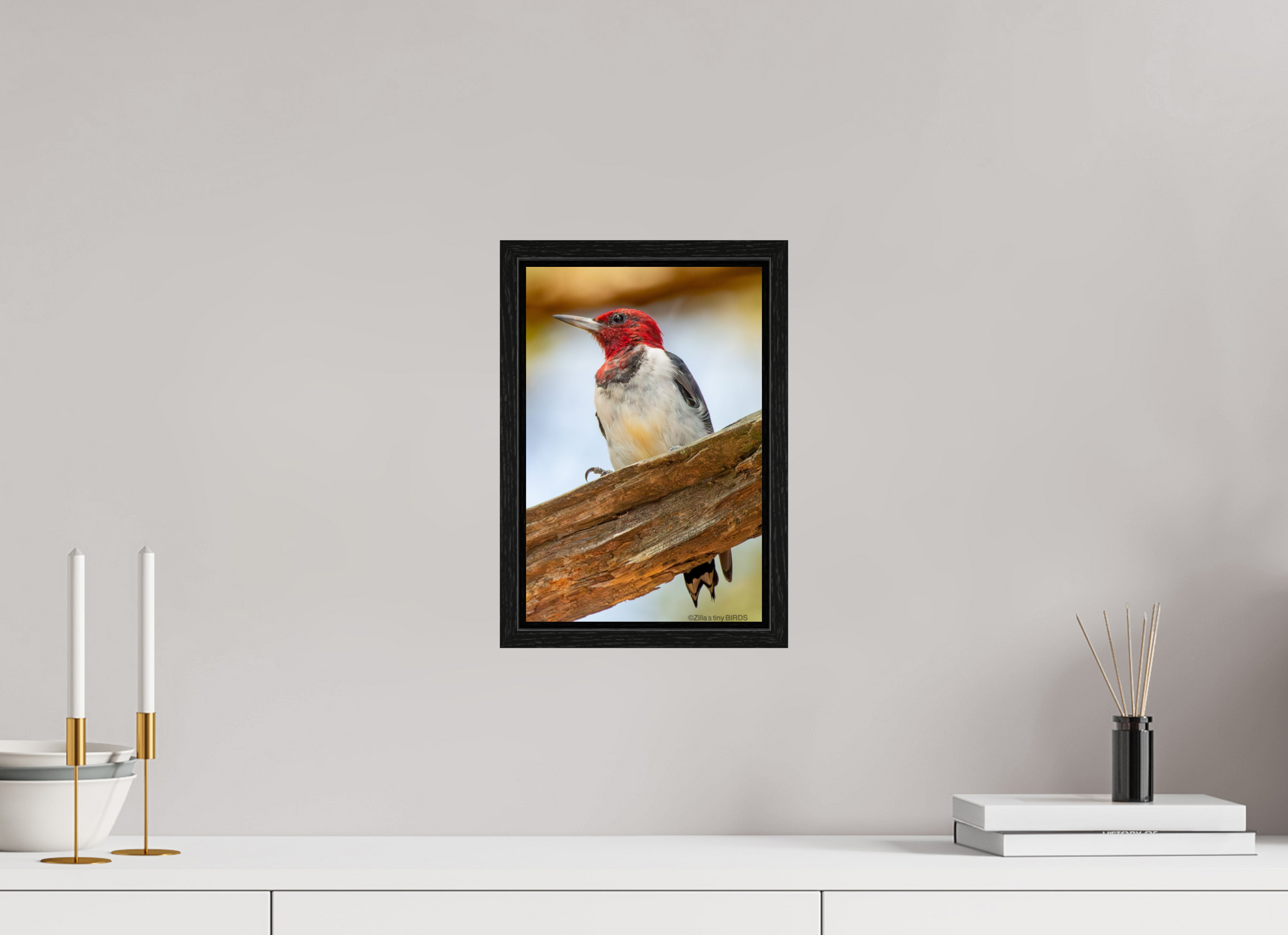 8 x 12″, Floater Frame Zillas Zoom Image 442