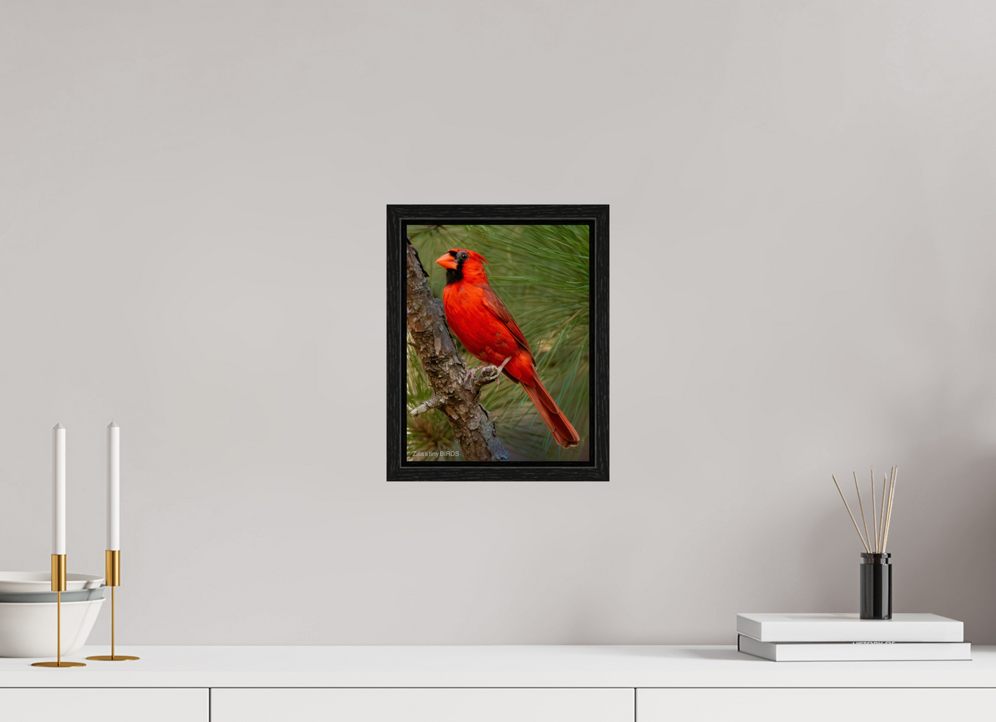 8 x 10.4″, Floater Frame Zillas Zoom Image 521